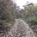 의령 고산재 이미지