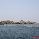승치도 Daum백과