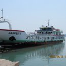 완도7호 이미지