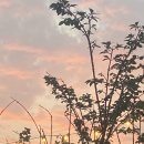 정근봉콩나물국밥 | 기록] 재택근무 시작, 지점토 공예, 삼척 스노쿨링, 용화물회, 정근봉 콩나물 국밥, 20대 백신 접종후기