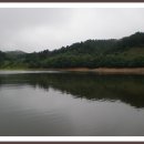 충남 천안시 동남구 성남면 대정리 대정저수지(목골지,성남지)낚시터 유료터 이미지