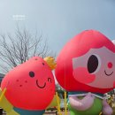 끌떡 | 2026년 논산 딸기 축제 다녀온 뒤늦은 후기