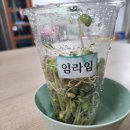 임라임