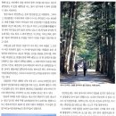 1월산행지 전북부안 관음봉 424m 이미지