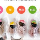 판타펫코리아 이미지