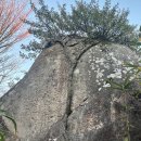 남해-173 이미지