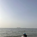 개인택시(전북31바5220) | 부안 고사포2 야영장 바다 앞 하우스 펜션 1박 6만원 / 국립공원공단 예약시스템