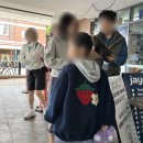 한국카인테리어 | 카툼바 맛집 포모이, 블루마운틴 투어 후 인생 쌀국수로 힐링한 솔직 후기