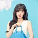 아이린 PC 네이버블로그