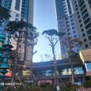 전농기사식당 | 동대문 전농동 임장기