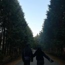 재동목장 이미지