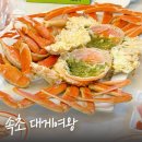 속초대게여왕 | 속초중앙시장 속초대게 맛집 대게여왕 내돈내산 후기