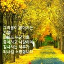 머물다 이미지