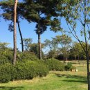 뽑아지트 이미지