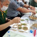 양구아름다운동행요양원 이미지