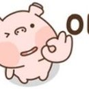 큰마음목장 네이버블로그