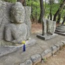 삿갓골농장 이미지