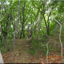 분수3리 이미지