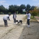 기린중학교 이미지