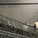 혜성스튜디오 | [일본 오사카] 3박4일 여행, 유니버셜 스튜디오 재팬 첫째날