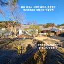 홍성 /기차역.의료원 차량 10분내 최상의환경 아름다운 풍광 철근콘크리트226평/주택50평 3억7천만 이미지