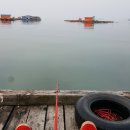 토도수산 이미지