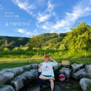 피크닉김밥천국 | 대구 근교 당일치기 성주 여행, 아이와 물놀이하기 좋은 솔가람피크닉 평상 명당 팁