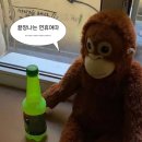 뼈대있는갈비 이미지