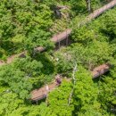 천년의 숲 화장실 이미지