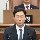 안상우 카카오 검색결과