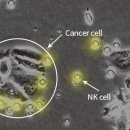 일산365온의원 이미지