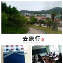 부산토탈 Daum카페