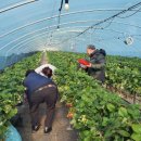 길우농장 이미지