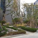 거제센트럴자이아파트 이미지