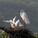 백로마을 이미지