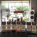 로즈핑크