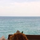 리멤버힐 | 포항 오션뷰 카페 대형베이커리 오딘카페 후기