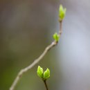 생명의 시작 이미지