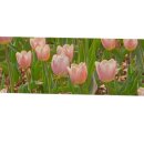 세븐일레븐 청주동남빌리지점 이미지