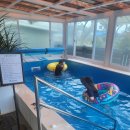 감포 더 고아라 비치 펜션 이미지