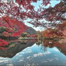 백양사(순천) | 백양사 단풍여행(백양사 단풍절정, 주차정보, 단풍 포인트, 백양사 맛집, 백암산 등산코스)