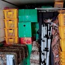 씨유 양산삼호원룸점 | 새로운 시작, 짐이 가벼워지는 포장이사 경험담 양산 포장이사