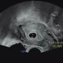 로즈메디산부인과의원 이미지