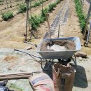 꼬꼬닭하우스 이미지