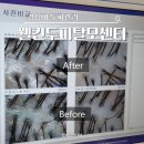 웰킨두피탈모센터 송도점 | 경성대 두피 관리 부산 웰킨두피탈모센터 지성.탈모.트러블케어 후기