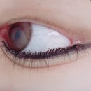 대전목동우체국(1층) | [대전 목동] 대전속눈썹연장 찐후기｜목동속눈썹 바비래쉬에서 이쁜눈매 완성 솔직 리뷰 후기!