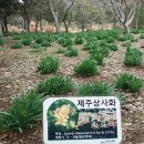 야생화정원펜션민박 이미지