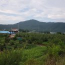 무릉도원 이미지