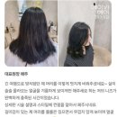 에이바헤어 운정목동동점