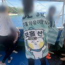 보홀호핑투어 l 보홀션 샤인호핑 거북이 스노클링 솔직후기